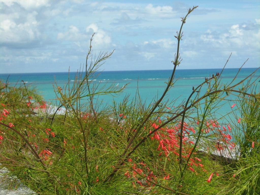Apartamento De Pajucara Maceió